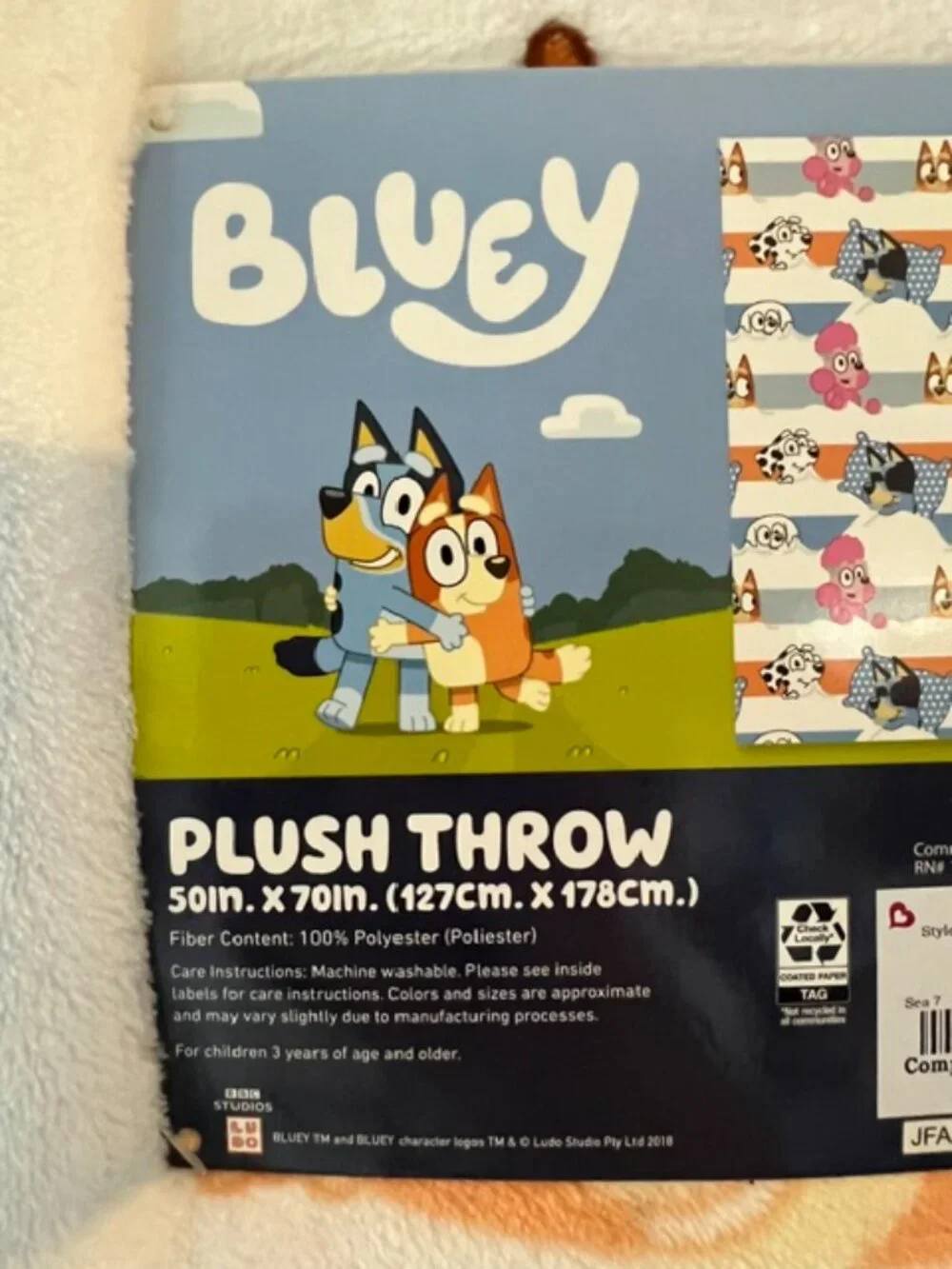 BLUEY SLEEPOVER BLANKET
